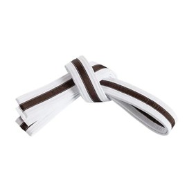 Mastery Tiny Tigers (White Belt/Brown Stripe, 0)