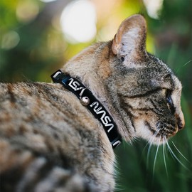 Buckle-Down NASA Text BW, Breakaway Cat Collar with Bell, Plastic Clip, Easy Adjustable, 8.5 to 12"-0.5" Wide