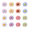 RHINOCATS Fridge Magnets, Strong Magnets, Daisy Magnets, Strong 8 Colors,