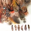 LURNODY Pack of 50 DIY Decorative Natural Feathers for Dream