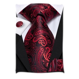 Hi-Tie Men's Solid Colour Tie Handkerchief Wedding Party Classic Tie & Pocket Square Set Multiple, Red paisley