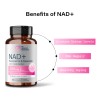Nad Nicotinamida+ Resveratrol+quercitina Celular 500mg 30