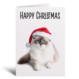 Postcard Prints - Fun Christmas Card of a Ragdoll Cat Wearing A Santa Hat Whimsical Christmas Card For Animal Lover For Him or Her