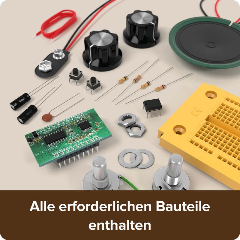 FRANZIS 67226 - The FM Radio for DIY (without soldering)