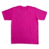 PAC FABRIC DYE Textile Dye col.07 Hot Pink with Color