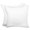 Pillow Insert Adjustable Fill Loft 20” x 20” Polyester Filled