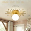 Soutas Globe Glass Ceiling Light Pull Chain Cord Ceiling Lamp