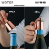 WOTOR Wine Stoppers Stainless Steel Wine Bottle stopper Plug with