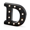 Elements 10" Plastic Black LED Letter D Light, 10x10 inches,