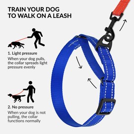 Collardirect Reflective Martingale Dog Collar Nylon Training Collars for Small Medium Large Dogs Puppy Pink Orange Green (M, Neck Size 13"-18", Blue)