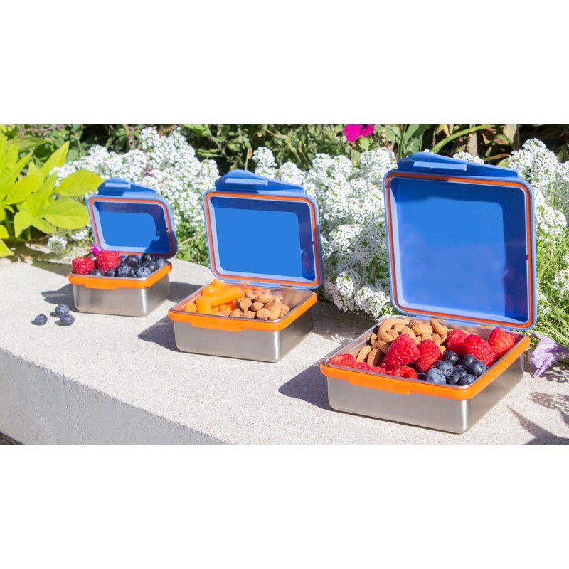 Safe Snacker by New Wave, Stainless Steel Food Container, BPA