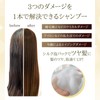 Zephyram Shampoo 16.9 fl oz (500 ml)