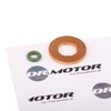 DR.MOTOR AUTOMOTIVE Gasket Set Injector