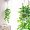 Mkono 3 Pack Macrame Plant Hangers Indoor Different Size Hanging