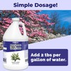 Dogwood Tree Fertilizer – Liquid Plant Food for All Dogwood