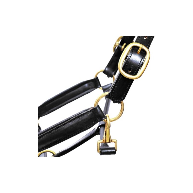 Aces Equine LEATHER HORSE HEADCOLLAR HALTER FULLY RAISED AND PADDED