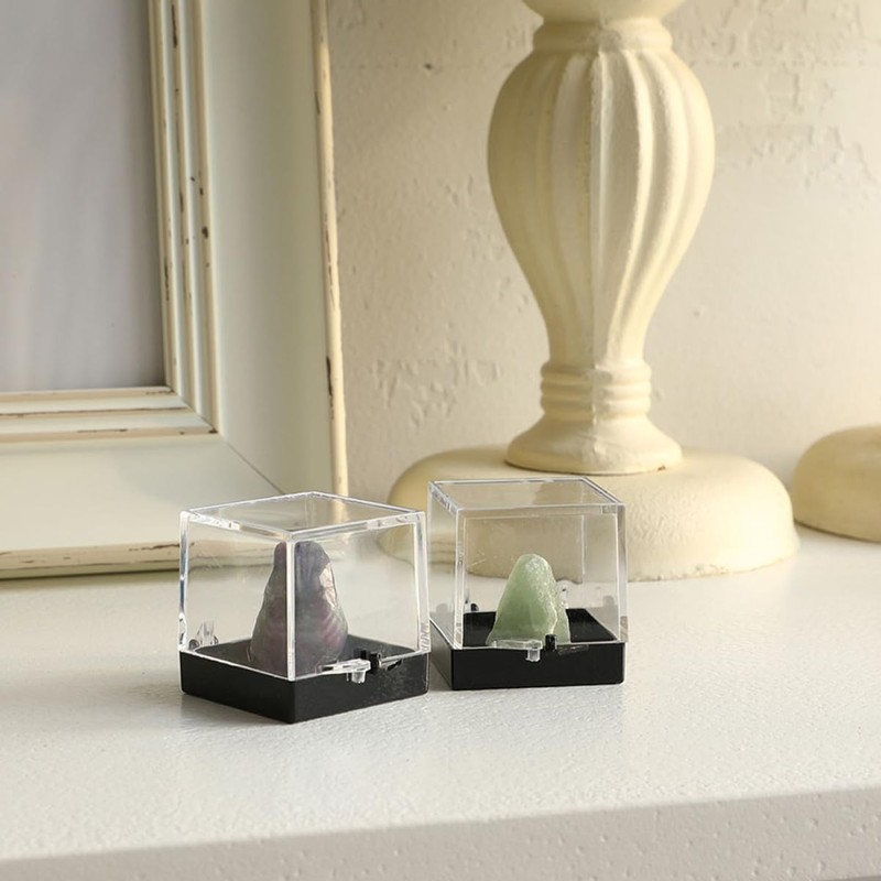 BUGUUYO Plastic Mini Gemstone Display Box Mini Specimen Case for