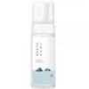 Round Lab 1025 Dokdo Bubble Cleansing Foam 150ml Rich moisturizing clean cleansing skin soothing / 라운드랩 1025 독도 버블 클렌징 폼 150ml 풍부한보습감 깔끔한클렌징 피부진정