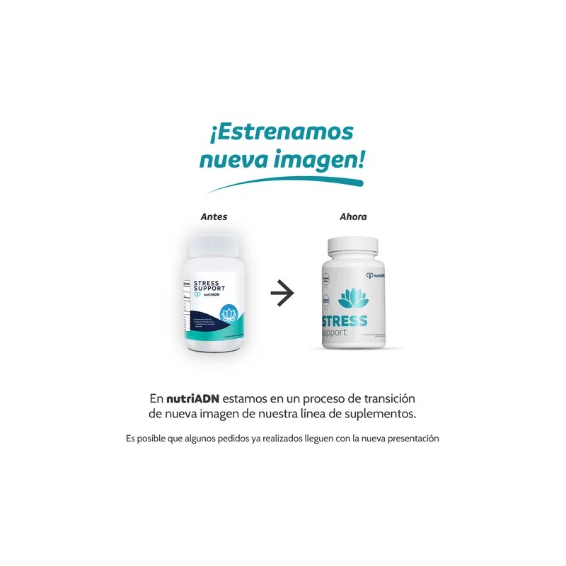 Suplemento Para El Estrés - Estrés Y Rendimiento Mental