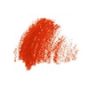 D.Palma Lipstick Pack (x)