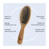Tex Big oval brush with regular pins