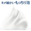 Dove Foam Body Wash, Premium Moisture Care, Refill, 12.8 oz