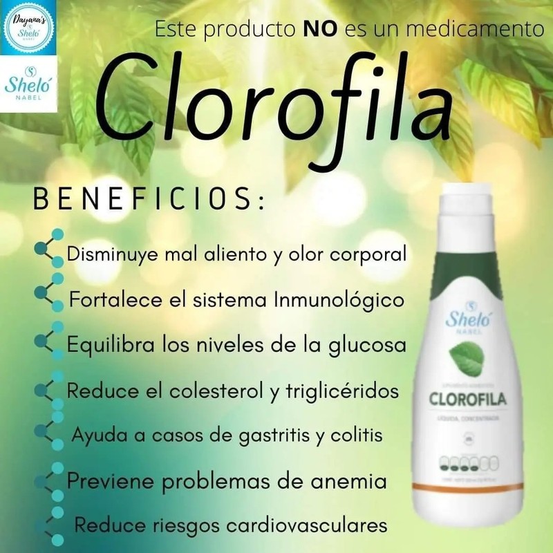 Clorofila Líquida Concentrada 500 Ml Sheló Nabel Limpia 3 Pz