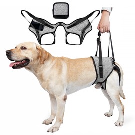 Dog Lifting Harness for Back Legs, Dog Support Harness Slings for Large Medium Small, Adjustable Dogs Brace for Hind Leg, Support Strap for Injured Disabled Elderly Dogs Walking Aid (XL)