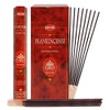 Incense Sticks and Incense Stick Holder Bundle Insence Insense Hem