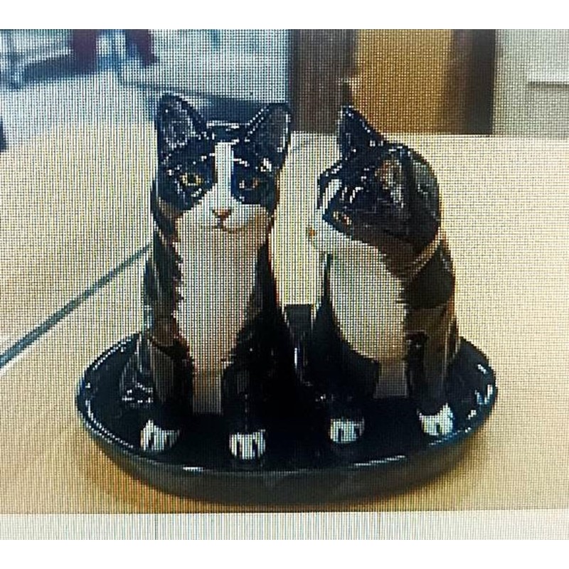 Ceramic Salt and Pepper Shaker Set with Cat Motif (Black