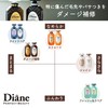 Shampoo, Damage Repair, Floral & Berry Scent, Perfect Beauty, Extra