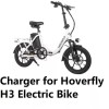 coming data 🔥power supply Battery Charger for Hoverfly H3 electric