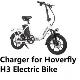 coming data 🔥power supply Battery Charger for Hoverfly H3 electric BIKE
