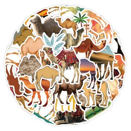 50PCS Stickers for Camel,Camel Stickers,Teens Boys and Girls Sticker Pack Vinyl Skateboard Guitar Door Laptop Luggage Car Bike Water Bottle Birthday Party Supplies Stickers