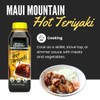 World Harbors Hot Teriyaki Sauce Perfect for Grilling Stir-Fries, Dipping,