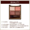 excel Skinny Rich Eye Shadow SR11 (Brick Brown) Palette Eye