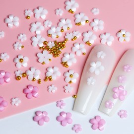 3D Flower Nail Charms and Metal Caviar Beads,Nail Art 3D Acrylic Flowers Nail Charms Nail Design Supplies Decoration Accessories DIY Nail Decoration in 6 Compartment Box