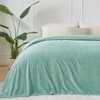NEWCOSPLAY Super Soft Queen Blanket New Sage Green Premium Silky
