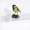 Zeigis Wall Shelf 200 mm Wide, 100 mm Deep, Acrylic