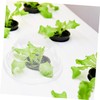 Mipcase 50Pcs Hydroponic Plants Insulation Covers Transparent Planting Covers for