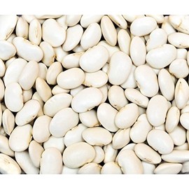 Bean Dry Great Northern Great Heirloom Garden Vegetable By Seed Kingdom BULK 5 Lb Seeds