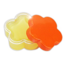 10 X SKINTRIX Skin Care Pflegeblümchen Präsent/Geschenk im 10er Pack