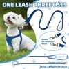 PUPTECK Dog Harness and Leash Set Small Sized, Step-in Cute
