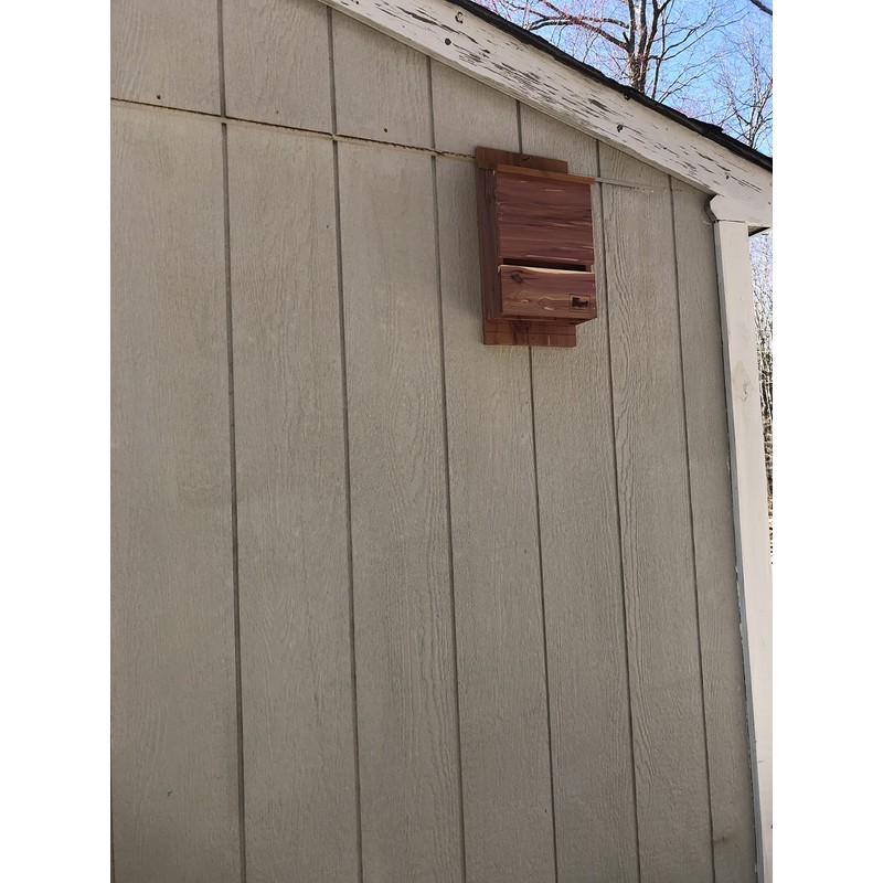 Vundahboah Amish Goods Outdoor Bat Box Shelter with Large Double