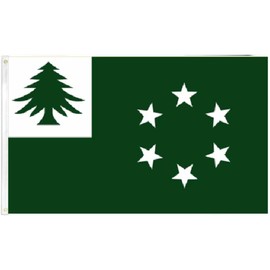 3X5 New England Militia 1643 APPEAL TO HEAVEN FLAG BANNER 100D