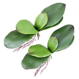 Fnize Faux Phalaenopsis Orchid Leaves Artificial Bulk Green Real Touch Latex Cymbidium Stems Leaf Roots 8 Inches 2pcs
