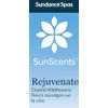 Sundance Spas SunScents™ - Rejuvenate, Coastal Wildflowers (3-5g Pads), Clear