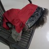 Four-Legged Full Coverage Waterproof Dog Raincoat with Reflective Features Pet