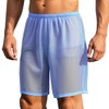 Calzoncillos de malla sexy para hombre, ropa interior transparente, Azul