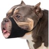 Dog Muzzle for Pitbull Soft Muzzles for Rottweilers American Bully